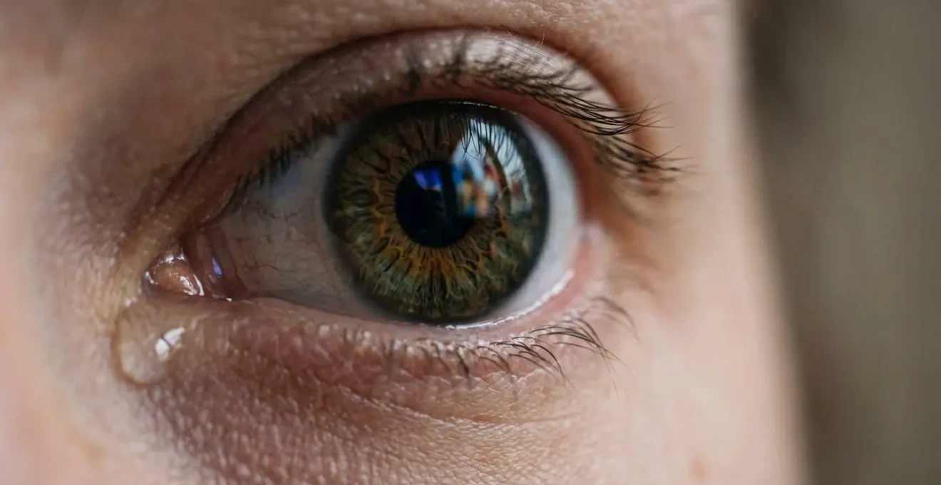 Spectateur contemplant une image finale ambiguë d'un film d'auteur, symbolisant la réflexion personnelle.