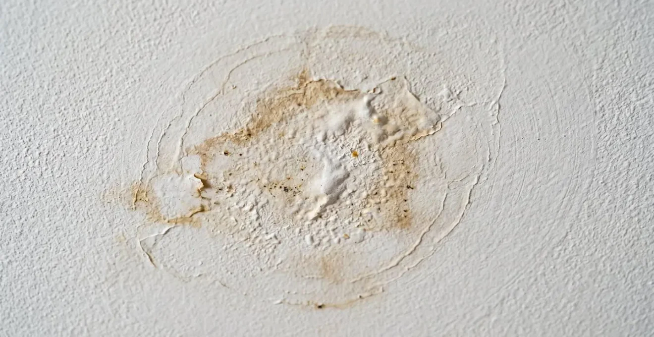 Gros plan détaillé d'une trace d'humidité et d'infiltration d'eau au plafond blanc d'un logement, marques de décoloration visibles, texture de peinture et dégât apparent