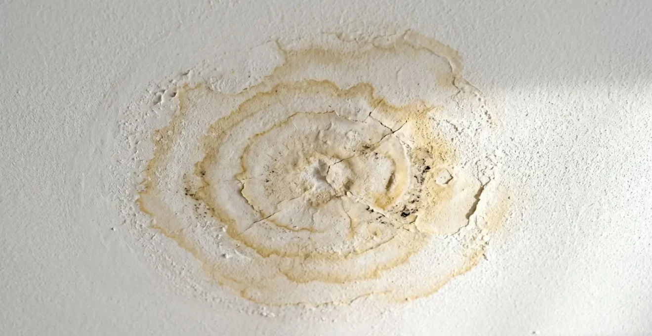 Gros plan détaillé d'une trace d'humidité et d'infiltration d'eau au plafond blanc d'un logement, marques de décoloration visibles, texture de peinture et dégât apparent
