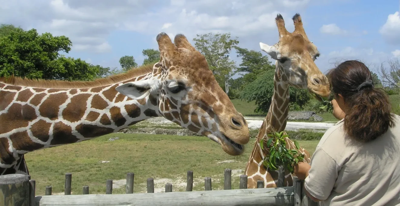 parc animalier dans l'ain.png