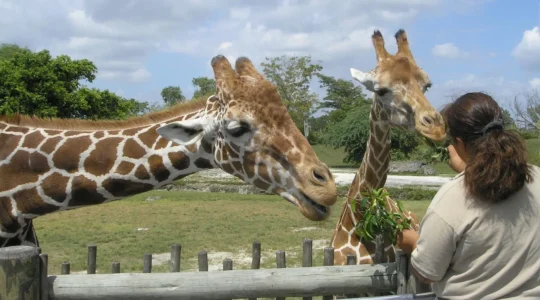 parc animalier dans l'ain.png